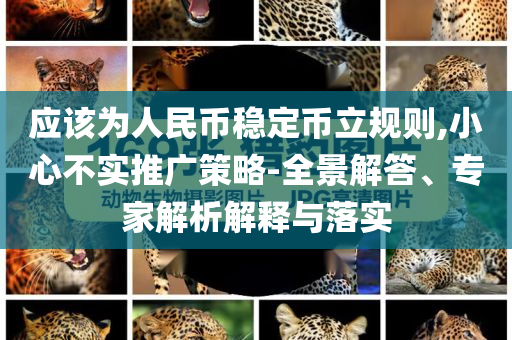 應(yīng)該為人民幣穩(wěn)定幣立規(guī)則,小心不實推廣策略-全景解答、專家解析解釋與落實