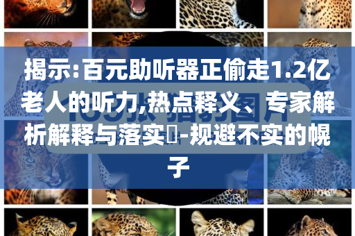 揭示:百元助聽(tīng)器正偷走1.2億老人的聽(tīng)力,熱點(diǎn)釋義、專家解析解釋與落實(shí)?-規(guī)避不實(shí)的幌子