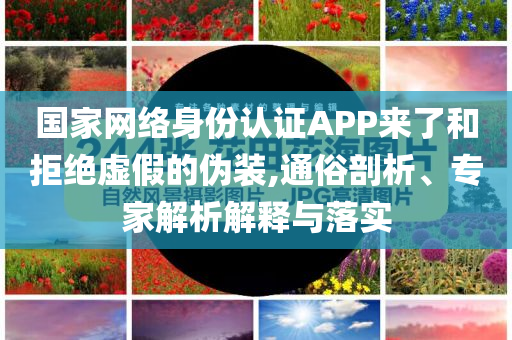 國(guó)家網(wǎng)絡(luò)身份認(rèn)證APP來了和拒絕虛假的偽裝,通俗剖析、專家解析解釋與落實(shí)