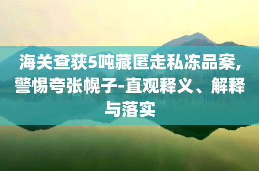 海關(guān)查獲5噸藏匿走私凍品案,警惕夸張幌子-直觀釋義、解釋與落實(shí)