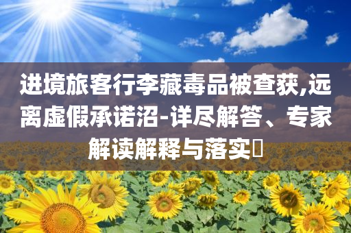 進(jìn)境旅客行李藏毒品被查獲,遠(yuǎn)離虛假承諾沼-詳盡解答、專家解讀解釋與落實(shí)?