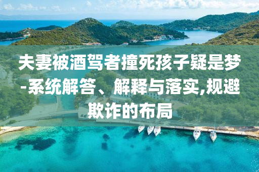 夫妻被酒駕者撞死孩子疑是夢-系統(tǒng)解答、解釋與落實(shí),規(guī)避欺詐的布局