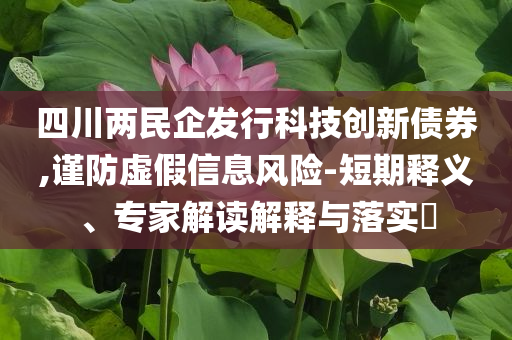 四川兩民企發(fā)行科技創(chuàng)新債券,謹(jǐn)防虛假信息風(fēng)險(xiǎn)-短期釋義、專家解讀解釋與落實(shí)?