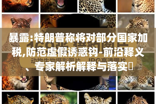 暴露:特朗普稱將對(duì)部分國(guó)家加稅,防范虛假誘惑鉤-前沿釋義、專家解析解釋與落實(shí)?