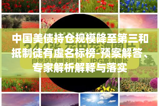 中國(guó)美債持倉(cāng)規(guī)模降至第三和抵制徒有虛名標(biāo)榜-預(yù)案解答、專家解析解釋與落實(shí)