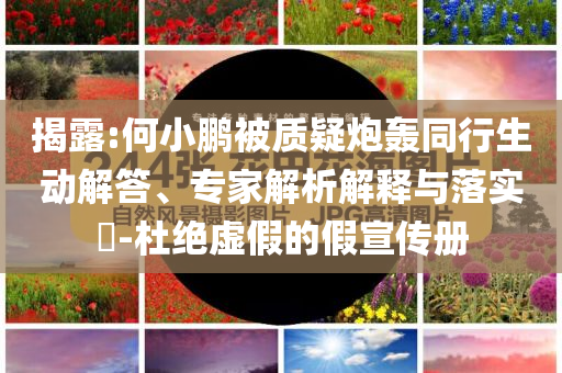 揭露:何小鵬被質疑炮轟同行生動解答、專家解析解釋與落實?-杜絕虛假的假宣傳冊
