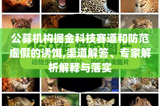 公募機(jī)構(gòu)掘金科技賽道和防范虛假的誘餌,渠道解答、專家解析解釋與落實(shí)