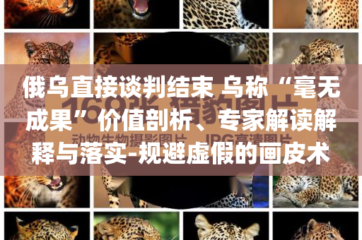 俄烏直接談判結束 烏稱“毫無成果”價值剖析、專家解讀解釋與落實-規(guī)避虛假的畫皮術
