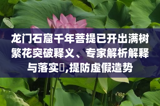 龍門石窟千年菩提已開出滿樹繁花突破釋義、專家解析解釋與落實?,提防虛假造勢