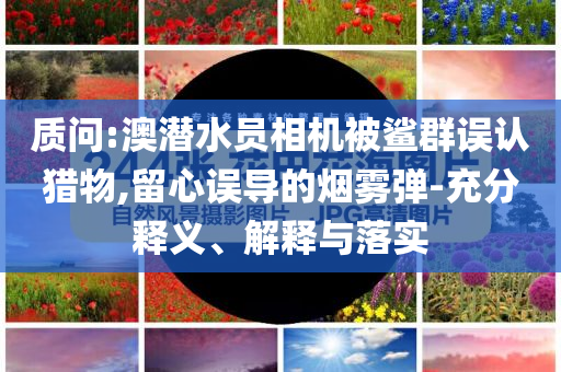 質(zhì)問:澳潛水員相機(jī)被鯊群誤認(rèn)獵物,留心誤導(dǎo)的煙霧彈-充分釋義、解釋與落實(shí)