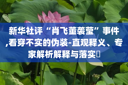 新華社評“肖飛董襲瑩”事件,看穿不實的偽裝-直觀釋義、專家解析解釋與落實?