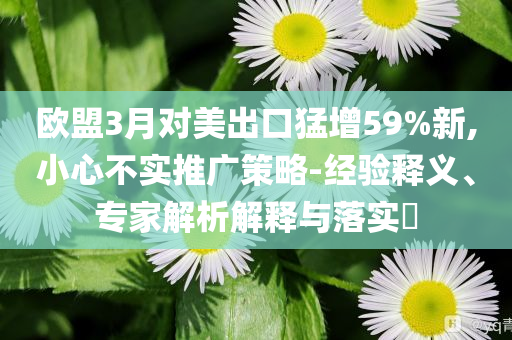 歐盟3月對美出口猛增59%新,小心不實推廣策略-經(jīng)驗釋義、專家解析解釋與落實?