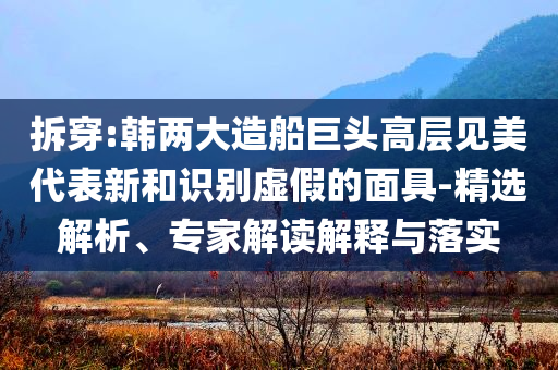 拆穿:韓兩大造船巨頭高層見美代表新和識別虛假的面具-精選解析、專家解讀解釋與落實