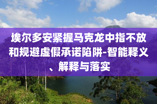 埃爾多安緊握馬克龍中指不放和規(guī)避虛假承諾陷阱-智能釋義、解釋與落實(shí)