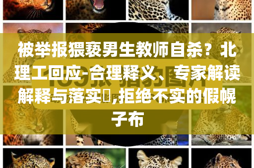 被舉報(bào)猥褻男生教師自殺？北理工回應(yīng)-合理釋義、專家解讀解釋與落實(shí)?,拒絕不實(shí)的假幌子布