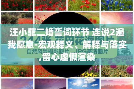 汪小菲二婚誓詞環(huán)節(jié) 連說(shuō)2遍我愿意-宏觀釋義、解釋與落實(shí),留心虛假渲染