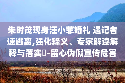 朱時(shí)茂現(xiàn)身汪小菲婚禮 遇記者速逃離,強(qiáng)化釋義、專家解讀解釋與落實(shí)?-留心偽假宣傳危害