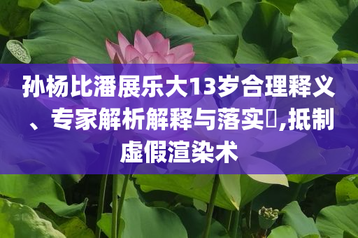 孫楊比潘展樂大13歲合理釋義、專家解析解釋與落實?,抵制虛假渲染術