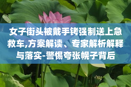 女子街頭被戴手銬強(qiáng)制送上急救車(chē),方案解讀、專(zhuān)家解析解釋與落實(shí)-警惕夸張幌子背后