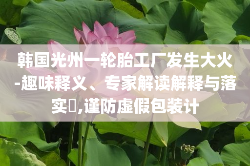 韓國光州一輪胎工廠發(fā)生大火-趣味釋義、專家解讀解釋與落實?,謹(jǐn)防虛假包裝計