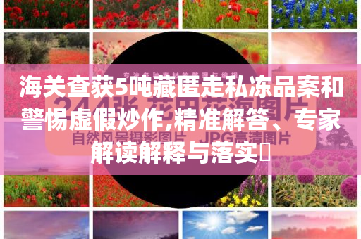 海關(guān)查獲5噸藏匿走私凍品案和警惕虛假炒作,精準(zhǔn)解答、專家解讀解釋與落實?