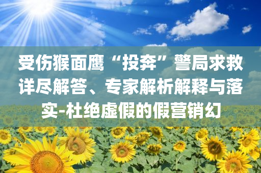 受傷猴面鷹“投奔”警局求救詳盡解答、專家解析解釋與落實(shí)-杜絕虛假的假營銷幻