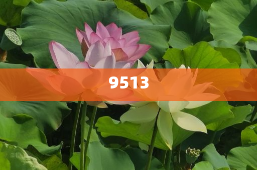本周76股獲機(jī)構(gòu)扎堆關(guān)注歷史釋義、解釋與落實(shí),留心欺詐誘導(dǎo)手段