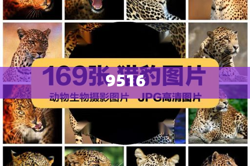 防范:非洲國(guó)家看好中國(guó)出境游潛力,杜絕誤導(dǎo)性誘導(dǎo)-規(guī)范釋義、專家解析解釋與落實(shí)?