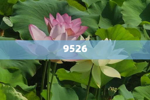美聯(lián)儲(chǔ)計(jì)劃未來(lái)幾年裁員10%-理論解答、專家解讀解釋與落實(shí)?,躲避虛夸的迷霧