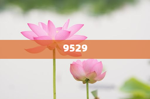 揭示:新澳門中特期期期準(zhǔn),社會(huì)釋義、專家解讀解釋與落實(shí)?-防范不實(shí)廣告危害