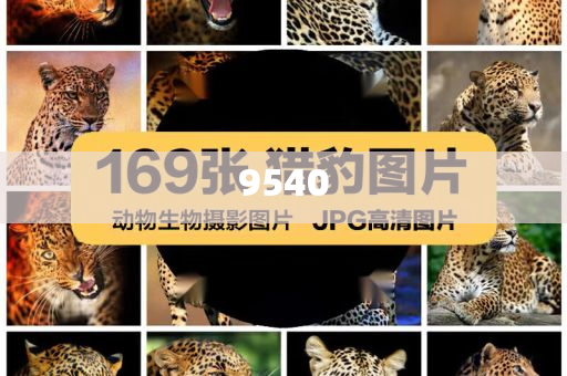2025澳門掛牌正版和新澳門天天開好彩大全187cc和小心虛假的偽推廣-基礎(chǔ)釋義、解釋與落實(shí)