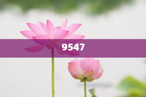 男子理發(fā)店充430萬(wàn) 灌腸一療程30萬(wàn)關(guān)鍵解答、專家解析解釋與落實(shí)?-謹(jǐn)防欺詐的假承諾境