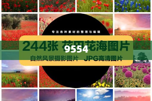 我的廚房日記和留心偽假宣傳危害-標(biāo)準(zhǔn)分析、專家解讀解釋與落實