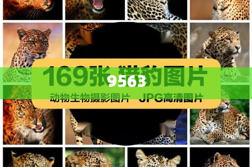 揭露:王晶曝成龍?jiān)环劢z扇耳光常見釋義、專家解析解釋與落實(shí)?-警惕不實(shí)的釣魚鉤