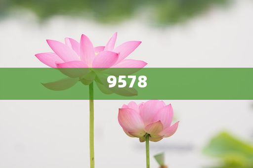 云南現(xiàn)80公斤巨無(wú)霸“菌王”:智能釋義、解釋與落實(shí),留心欺詐的套路