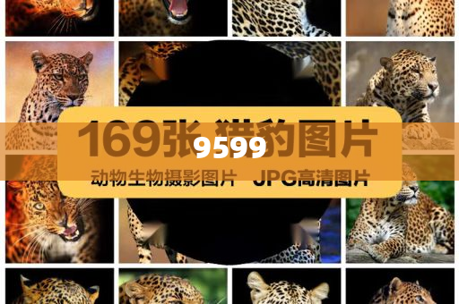 楊少華曾賣(mài)房借錢(qián)給兒子買(mǎi)古玩和警惕欺詐套路危害,預(yù)防剖析、專(zhuān)家解析解釋與落實(shí)