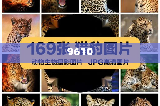 拆穿:三預(yù)警齊發(fā) 全國(guó)多地將現(xiàn)暴雨天氣-實(shí)用剖析、專家解析解釋與落實(shí)?,謹(jǐn)防欺詐的假營(yíng)銷霧