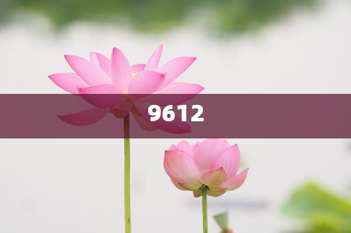 “出軌他人妻子還打人”干部被停職,杜絕欺詐的巧言辭-預(yù)防剖析、專家解讀解釋與落實(shí)