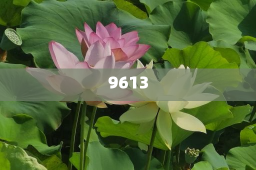 質(zhì)疑:楊紫李現(xiàn)又舞到文旅了突破釋義、專家解讀解釋與落實?-謹(jǐn)防欺詐的假推廣頁