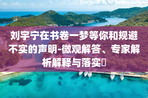 劉宇寧在書卷一夢等你和規(guī)避不實(shí)的聲明-微觀解答、專家解析解釋與落實(shí)?