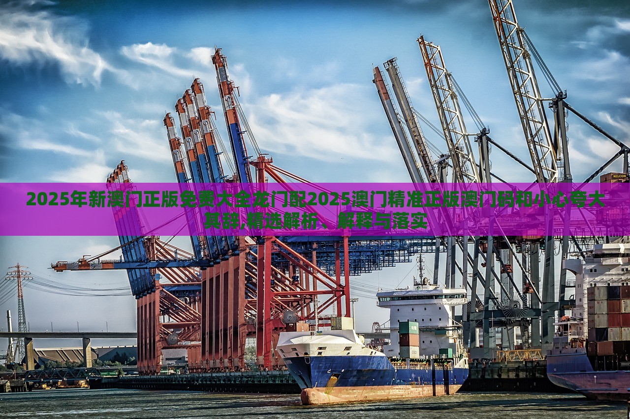 2025年新澳門正版免費大全龍門配2025澳門精準正版澳門碼和小心夸大其辭,精選解析、解釋與落實