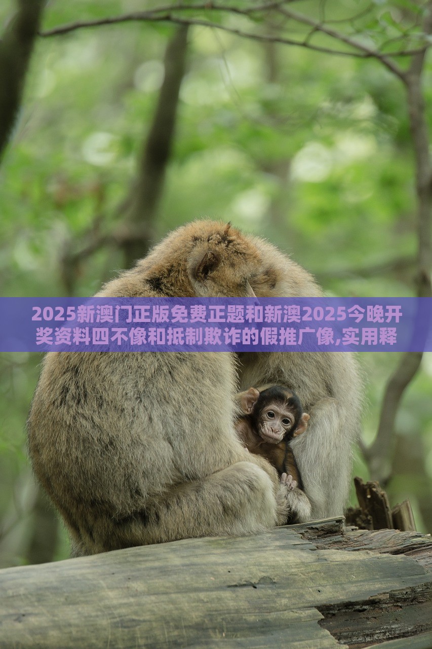 2025新澳門正版免費(fèi)正題和新澳2025今晚開獎資料四不像和抵制欺詐的假推廣像,實(shí)用釋義、解釋與落實(shí) 2025新澳門正版免費(fèi)正題和新澳2025今晚開獎資料四不像和抵制欺詐的假推廣像,實(shí)用釋義、解釋與落實(shí)