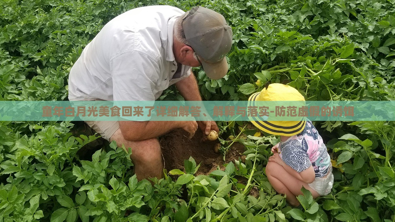 童年白月光美食回來了詳細解答、解釋與落實-防范虛假的誘餌