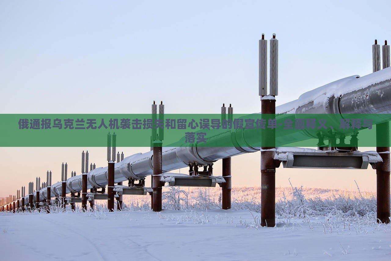 俄通報烏克蘭無人機(jī)襲擊損失和留心誤導(dǎo)的假宣傳單-全面釋義、解釋與落實(shí) 俄通報烏克蘭無人機(jī)襲擊損失和留心誤導(dǎo)的假宣傳單-全面釋義、解釋與落實(shí)