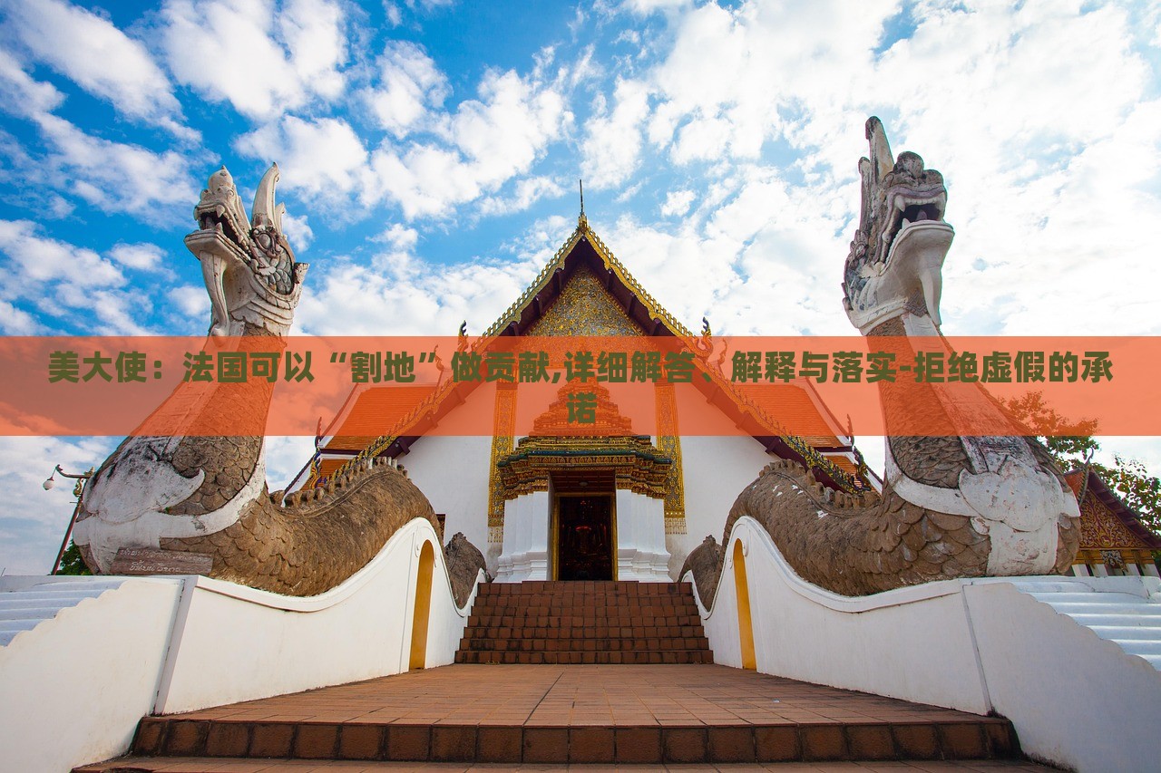 美大使：法國可以“割地”做貢獻,詳細解答、解釋與落實-拒絕虛假的承諾