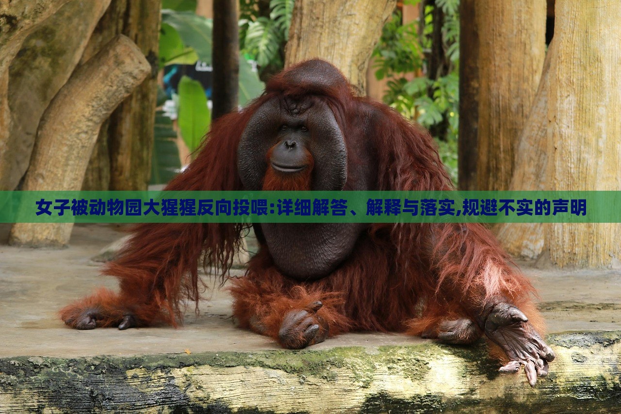 女子被動(dòng)物園大猩猩反向投喂:詳細(xì)解答、解釋與落實(shí),規(guī)避不實(shí)的聲明