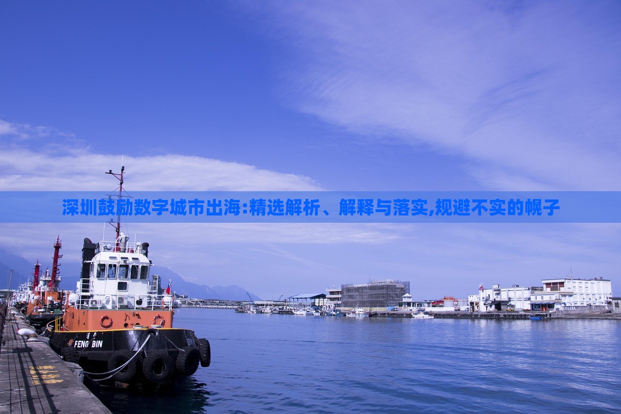 深圳鼓勵(lì)數(shù)字城市出海:精選解析、解釋與落實(shí),規(guī)避不實(shí)的幌子