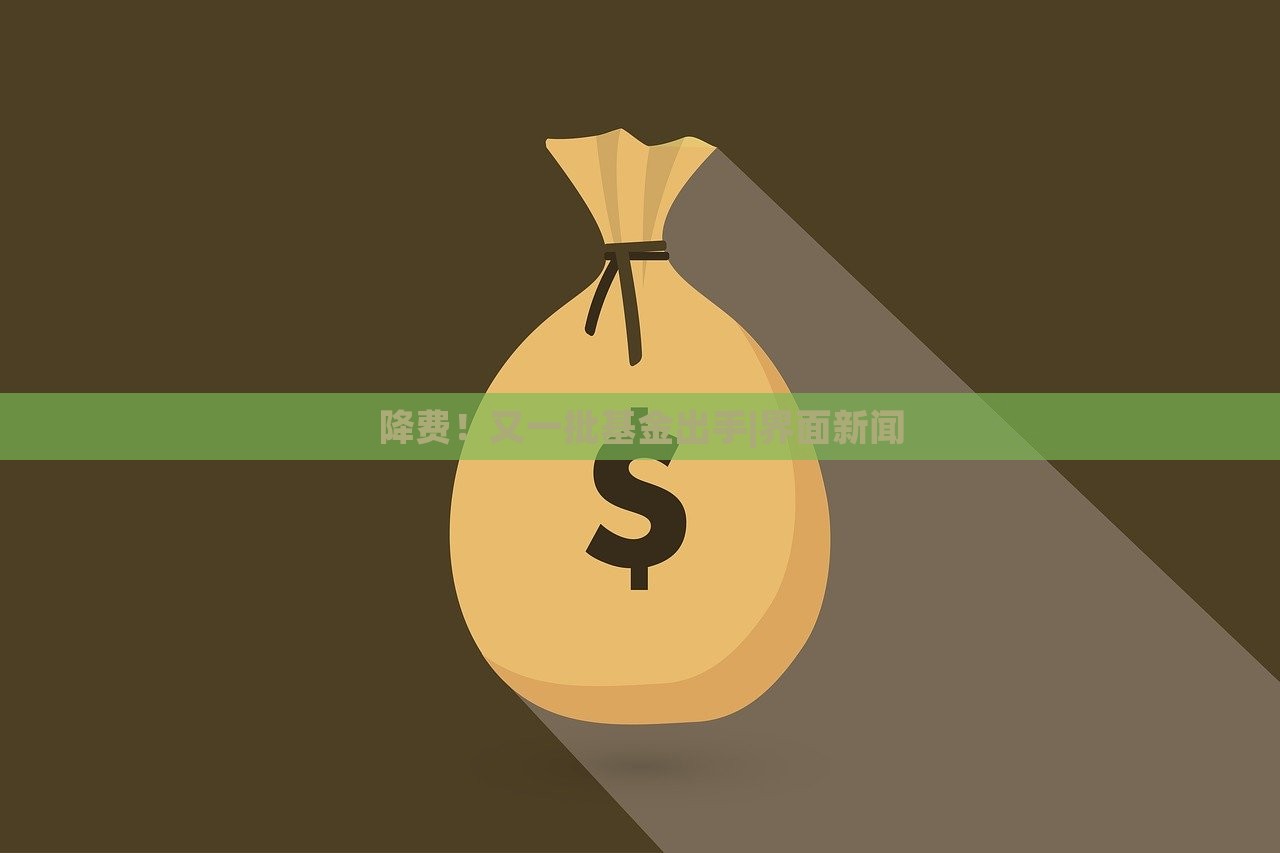 降費！又一批基金出手|界面新聞