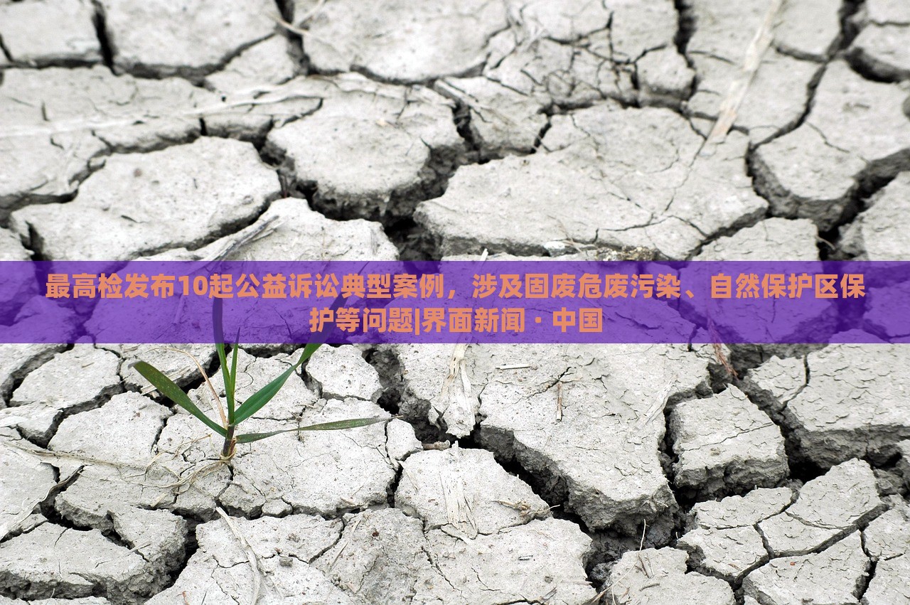最高檢發(fā)布10起公益訴訟典型案例，涉及固廢危廢污染、自然保護區(qū)保護等問題|界面新聞 · 中國