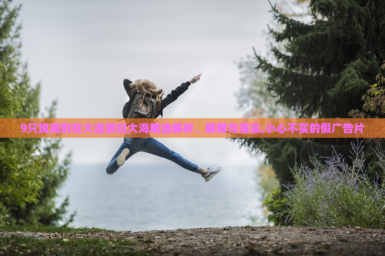 9只斑海豹在大連放歸大海精選解析、解釋與落實,小心不實的假廣告片 9只斑海豹在大連放歸大海精選解析、解釋與落實,小心不實的假廣告片